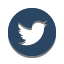Twitter Icon